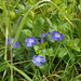 DSCN0631