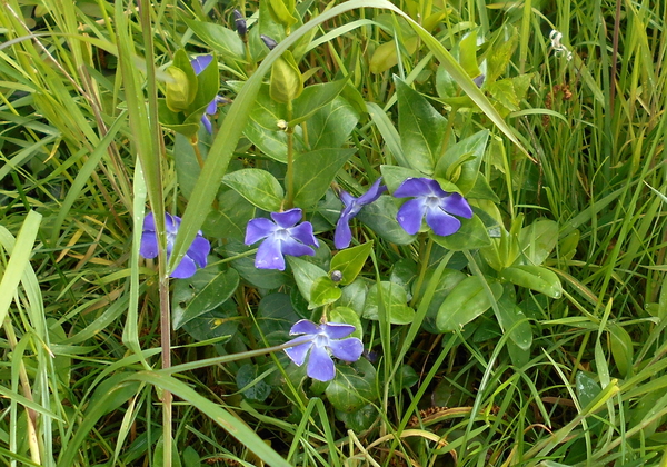 DSCN0631