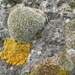 DSCN0634