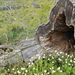 DSCN0642