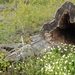 DSCN0643