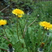 DSCN0648