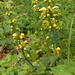 DSCN0651