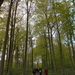 DSCN0654