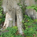 DSCN0666