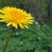 DSCN0668