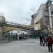 DSCN0682