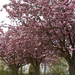 DSCN0683