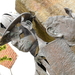 DSCN0693
