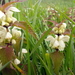 20160430_101648