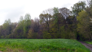 20160430_114529
