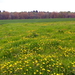 20160430_115026