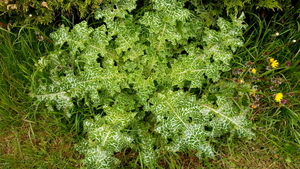 20160430_120050