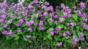 20160430_121054