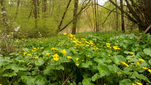 20160430_125012