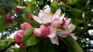 20160430_164836