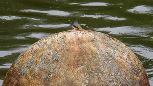 20160430_170324a