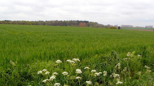 P1420147