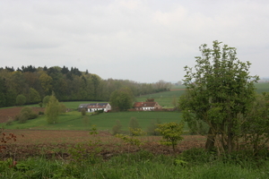 IMG_3607