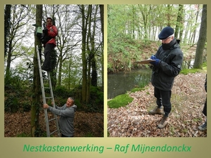 2016-05-01 NESTKASTENWERKING