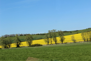 IMG_3209
