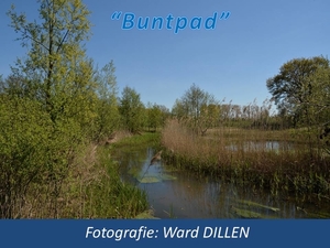 2016-05-05 BUNTPAD (WD)