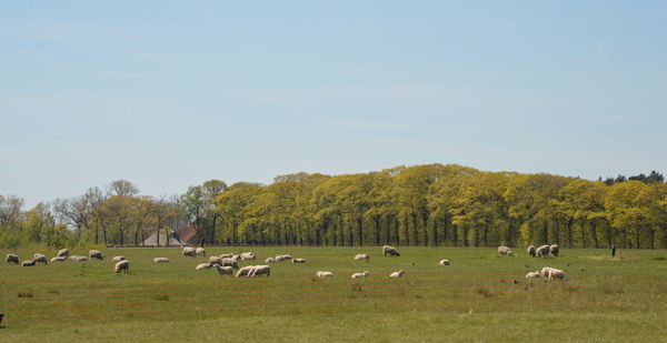 DSC_1054