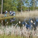 DSCN0764