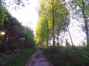 DSC05660