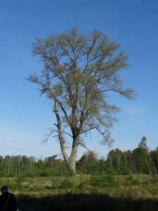 DSC05672