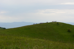 dag2_bickensohl10