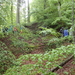 dag3_Wutagschlucht07