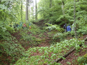 dag3_Wutagschlucht07