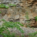 dag3_Wutagschlucht09