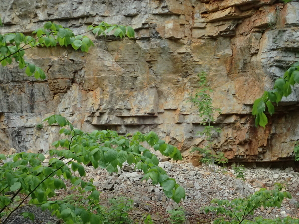 dag3_Wutagschlucht09