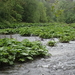 dag3_Wutagschlucht10