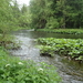 dag3_Wutagschlucht11