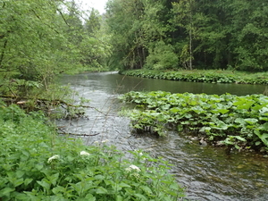 dag3_Wutagschlucht11