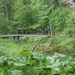 dag3_Wutagschlucht13