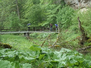dag3_Wutagschlucht13