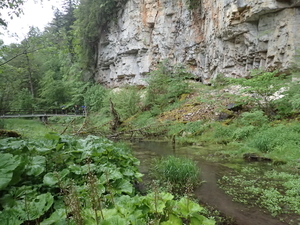 dag3_Wutagschlucht14