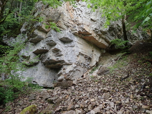 dag3_Wutagschlucht17
