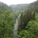 dag3_Wutagschlucht26