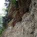 dag3_Wutagschlucht30