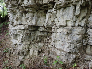 dag3_Wutagschlucht37