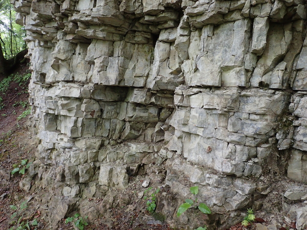 dag3_Wutagschlucht37