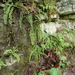 dag3_Wutagschlucht42