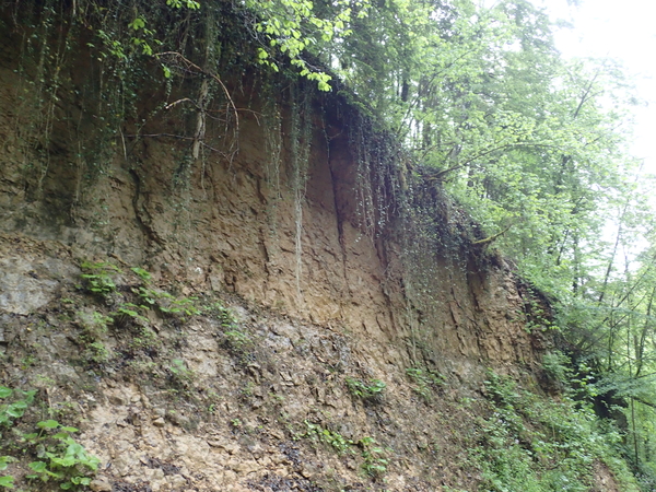 dag3_Wutagschlucht51