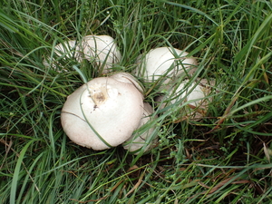 dag4_vrije dag42