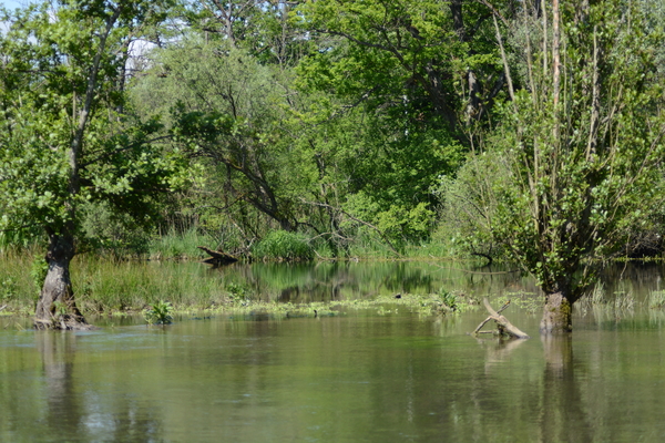 dag5_taubergiessen32